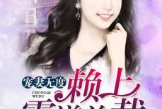 霸道总裁宠妻电视剧,霸道总裁的甜蜜宠妻日常