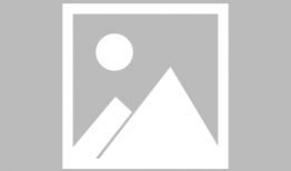 花非花电视剧,爱恨交织的宫廷传奇